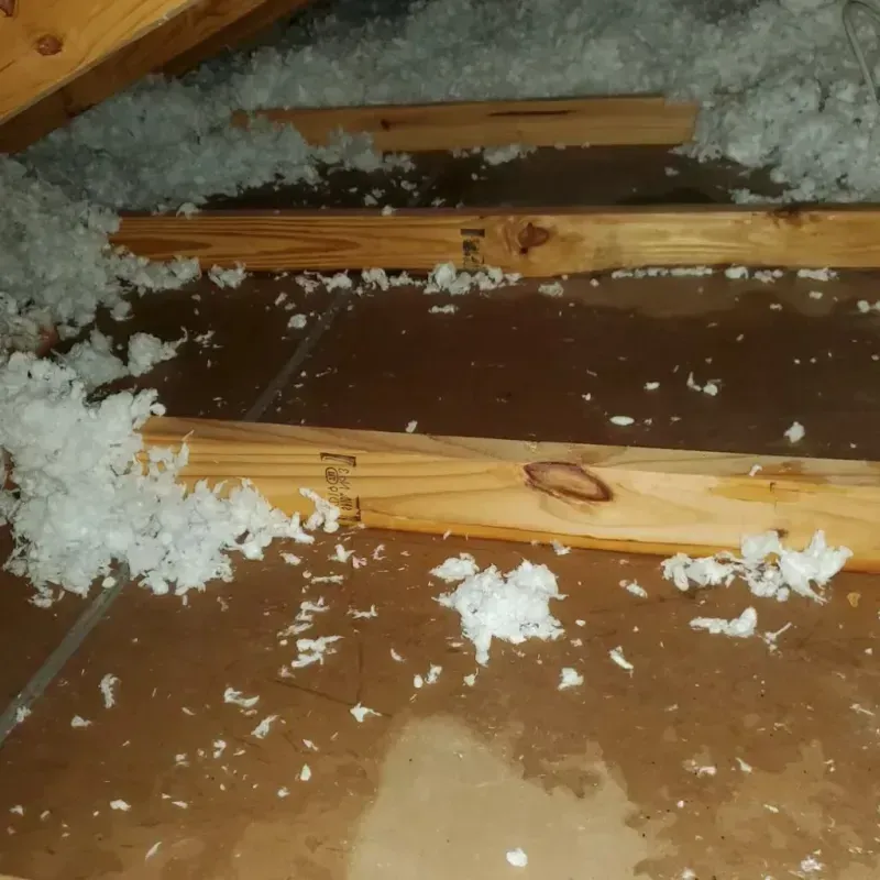 Attic Water Damage in Gentry, AR