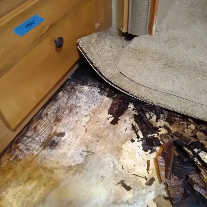 Wood Floor Water Damage in Gentry, AR